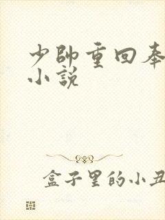 少帅重回奉天的小说
