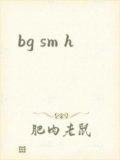 bg sm h