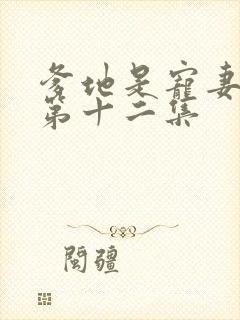 爹地是宠妻狂魔第十二集