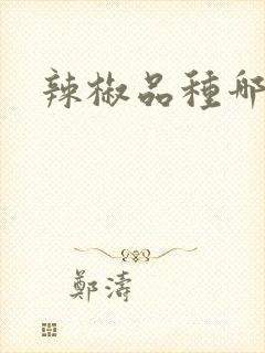 辣椒品种哪个好