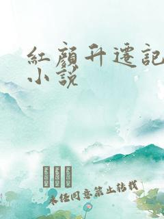 红颜升迁记原著小说