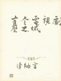 有个电视剧叫什么之城