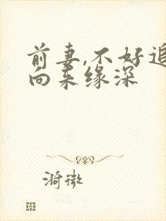 前妻,不好追 向来缘深