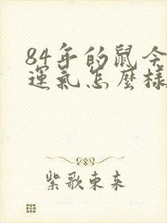 84年的鼠今年运气怎么样女
