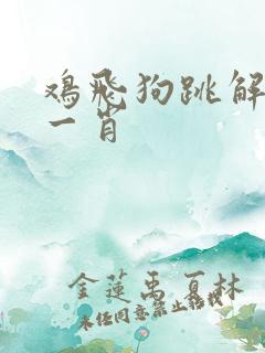 鸡飞狗跳解最佳一肖