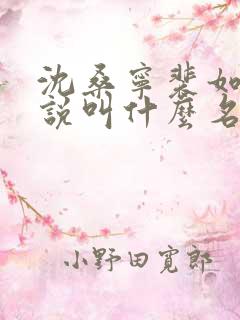 沈桑宁裴如衍小说叫什么名字 沈桑宁裴如衍小说叫什么名字