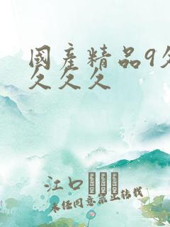 国产精品9久久久久久