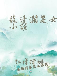 苏清澜是女主的小说