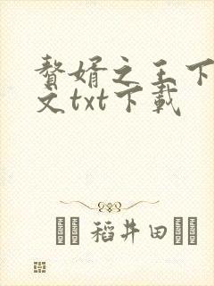 赘婿之王下载全文txt下载