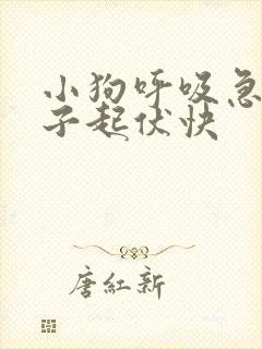 小狗呼吸急促肚子起伏快