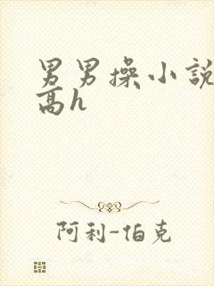 男男操小说双性高h