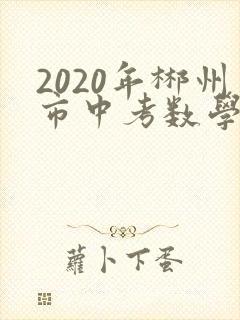 2020年郴州市中考数学试卷及答案