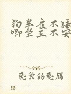 狗半夜不睡觉哼唧坐立不安