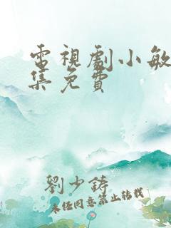 电视剧小敏家全集免费