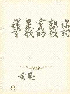 还是会想你是哪首歌的歌词