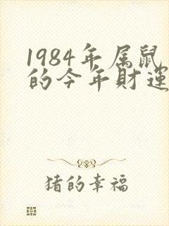 1984年属鼠的今年财运怎么样