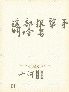 这部狙击手电影叫啥名