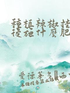 种植辣椒挂果以后施什么肥比较好