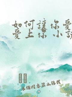 如何让你爱的人爱上你 小说
