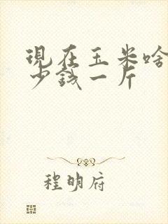 现在玉米啥价多少钱一斤