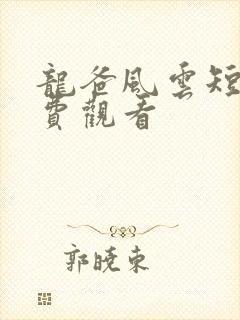 龙爸风云短剧免费观看