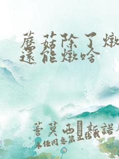 蘑菇除了炖小鸡还能炖啥