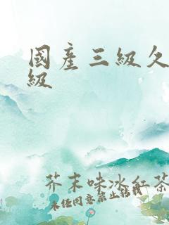 国产三级久久三级