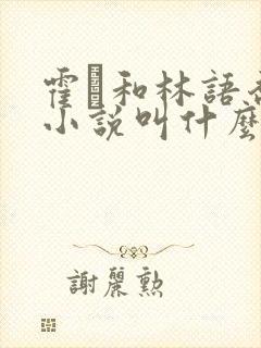 霍玦和林语乔的小说叫什么名字