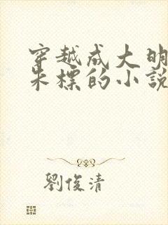 穿越成大明太子朱标的小说