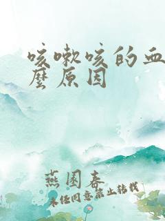 咳嗽咳的血是什么原因