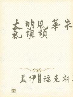 大明风华朱棣霸气视频