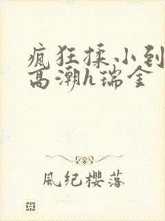 疯狂揉小到失禁高潮h瑞金
