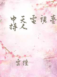 中天电视台女主持人 中天电视台女主持人