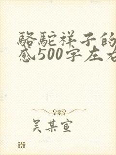 骆驼祥子的读后感500字左右