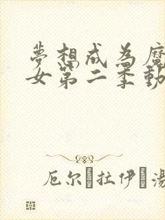 梦想成为魔法少女第二季动画免费观看