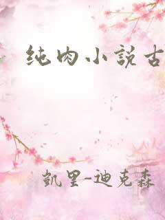 纯肉小说古风