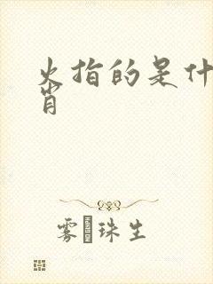 火指的是什么生肖