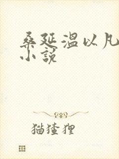 桑延温以凡难哄小说