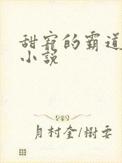 甜宠的霸道总裁小说