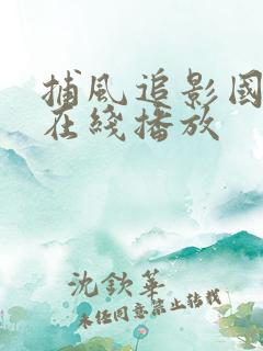 捕风追影国语版在线播放