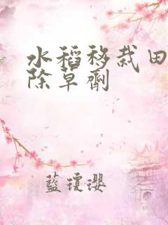 水稻移栽田封闭除草剂