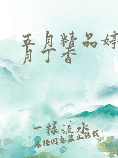 五月精品婷婷六月丁香