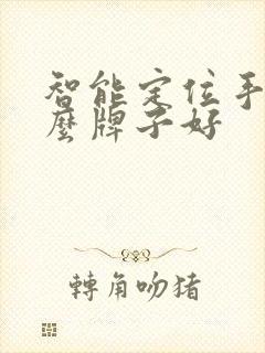 智能定位手表什么牌子好