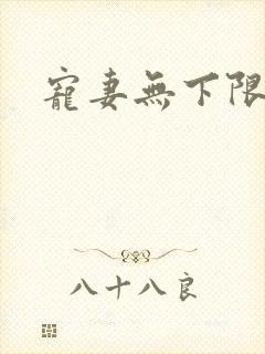 宠妻无下限