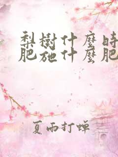 梨树什么时候施肥施什么肥