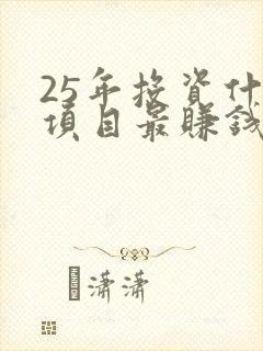 25年投资什么项目最赚钱