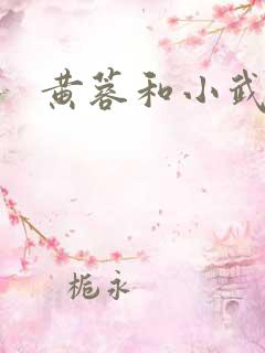 黄蓉和小武后传 黄蓉和小武后传