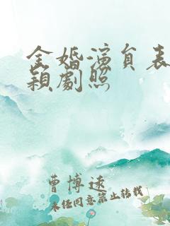 金婚演员表赵丽颖剧照