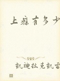 上瘾有多少集