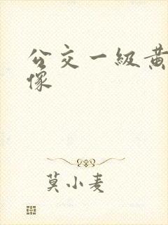 公交一级黄色录像
